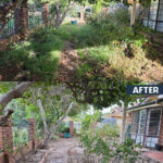 before after 8